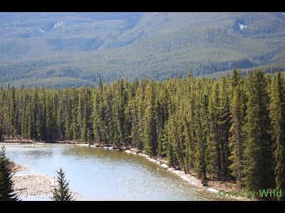 Lakes, Waterfalls & More Lakes, Waterfalls & More