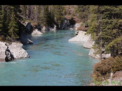 Lakes, Waterfalls & More Lakes, Waterfalls & More