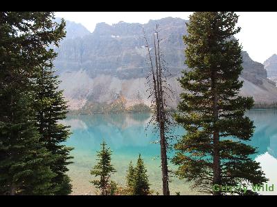 Lakes, Waterfalls & More Lakes, Waterfalls & More