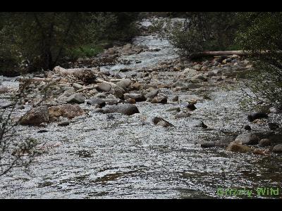 Lakes, Waterfalls & More Lakes, Waterfalls & More