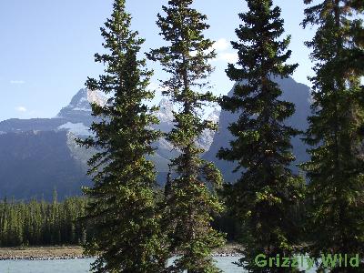 Lakes, Waterfalls & More Lakes, Waterfalls & More