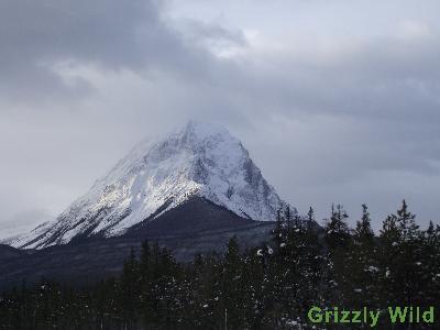 Mountains