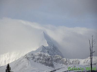 Mountains