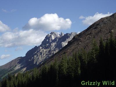 Mountains