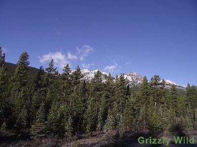 Mountains