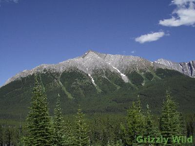 Mountains