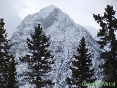 Mountains