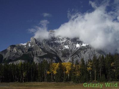 Mountains