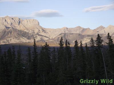 Mountains
