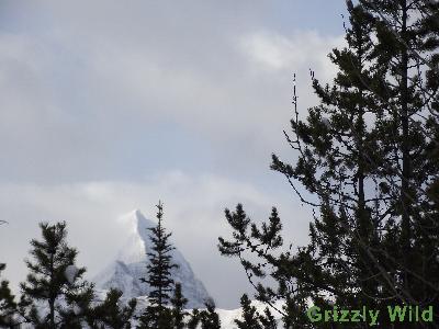 Mountains