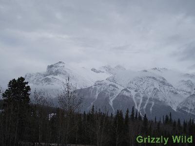 Mountains
