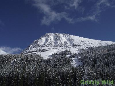 Mountains