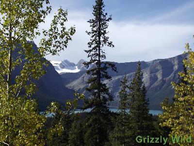 Mountains