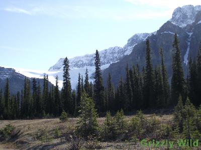 Mountains