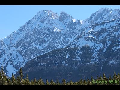 Mountains